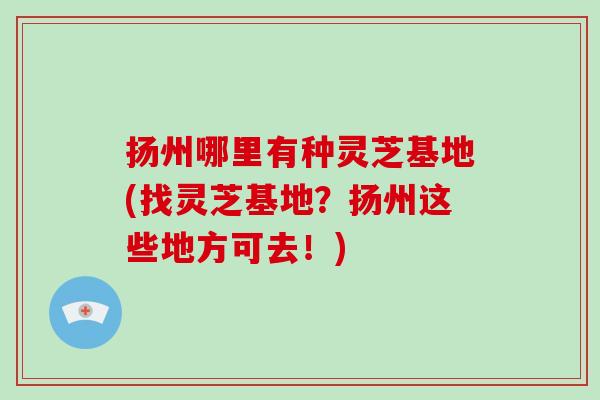 扬州哪里有种灵芝基地(找灵芝基地？扬州这些地方可去！)-第1张图片-破壁灵芝孢子粉研究指南