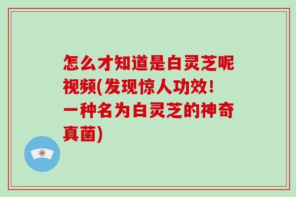 怎么才知道是白灵芝呢视频(发现惊人功效!一种名为白灵芝的神奇真菌)-第1张图片-破壁灵芝孢子粉研究指南 怎么才知道是白灵芝呢视频(发现惊人功效!一种名为白灵芝的神奇真菌)-第1张图片-破壁灵芝孢子粉研究指南