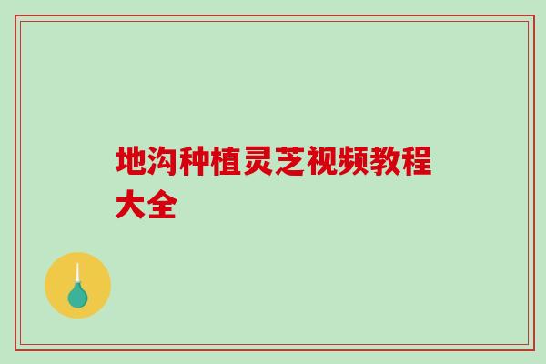 地沟种植灵芝视频教程大全-第1张图片-破壁灵芝孢子粉研究指南 地沟种植灵芝视频教程大全-第1张图片-破壁灵芝孢子粉研究指南
