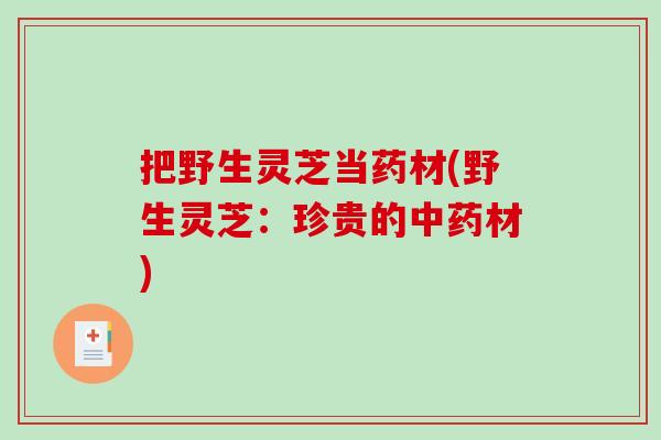 把野生灵芝当药材(野生灵芝：珍贵的中药材)-第1张图片-破壁灵芝孢子粉研究指南