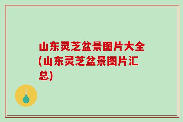 山东灵芝盆景图片大全(山东灵芝盆景图片汇总)-第1张图片-破壁灵芝孢子粉研究指南 山东灵芝盆景图片大全(山东灵芝盆景图片汇总)-第1张图片-破壁灵芝孢子粉研究指南