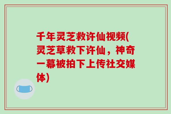 千年灵芝救许仙视频(灵芝草救下许仙，神奇一幕被拍下上传社交媒体)-第1张图片-破壁灵芝孢子粉研究指南