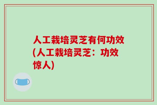 人工栽培灵芝有何功效(人工栽培灵芝：功效惊人)-第1张图片-破壁灵芝孢子粉研究指南