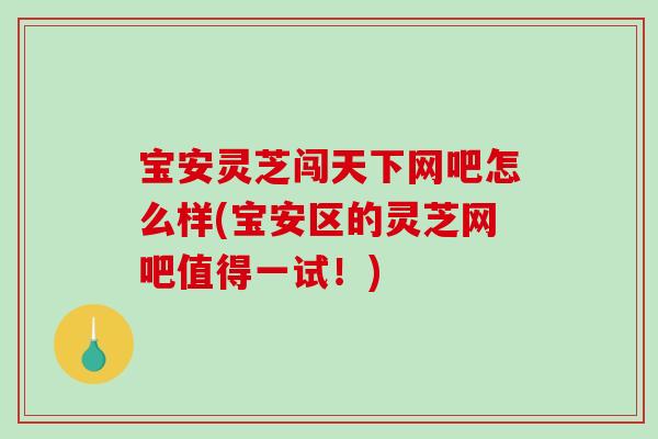 宝安灵芝闯天下网吧怎么样(宝安区的灵芝网吧值得一试！)-第1张图片-破壁灵芝孢子粉研究指南
