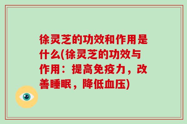 徐灵芝的功效和作用是什么(徐灵芝的功效与作用：提高免疫力，改善睡眠，降低血压)-第1张图片-破壁灵芝孢子粉研究指南