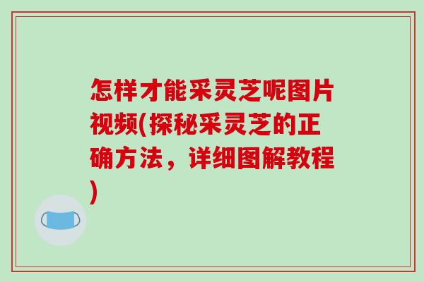 怎样才能采灵芝呢图片视频(探秘采灵芝的正确方法，详细图解教程)-第1张图片-破壁灵芝孢子粉研究指南