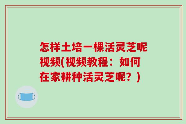 怎样土培一棵活灵芝呢视频(视频教程:如何在家耕种活灵芝呢?)-第1张图片-破壁灵芝孢子粉研究指南 怎样土培一棵活灵芝呢视频(视频教程:如何在家耕种活灵芝呢?)-第1张图片-破壁灵芝孢子粉研究指南