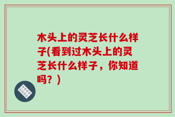木头上的灵芝长什么样子(看到过木头上的灵芝长什么样子,你知道吗?)-第1张图片-破壁灵芝孢子粉研究指南 木头上的灵芝长什么样子(看到过木头上的灵芝长什么样子,你知道吗?)-第1张图片-破壁灵芝孢子粉研究指南