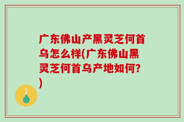 广东佛山产黑灵芝何首乌怎么样(广东佛山黑灵芝何首乌产地如何？)-第1张图片-破壁灵芝孢子粉研究指南