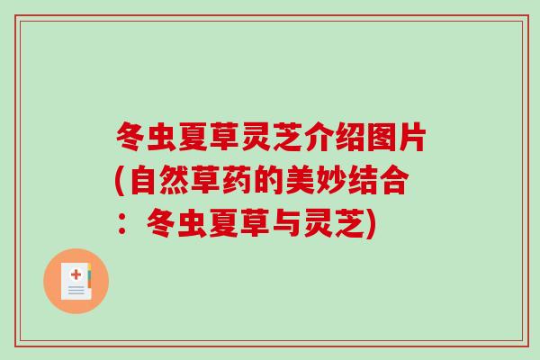 冬虫夏草灵芝介绍图片(自然草药的美妙结合:冬虫夏草与灵芝)-第1张图片-破壁灵芝孢子粉研究指南 冬虫夏草灵芝介绍图片(自然草药的美妙结合:冬虫夏草与灵芝)-第1张图片-破壁灵芝孢子粉研究指南