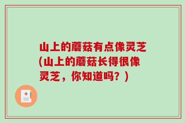 山上的蘑菇有点像灵芝(山上的蘑菇长得很像灵芝,你知道吗?)-第1张图片-破壁灵芝孢子粉研究指南 山上的蘑菇有点像灵芝(山上的蘑菇长得很像灵芝,你知道吗?)-第1张图片-破壁灵芝孢子粉研究指南
