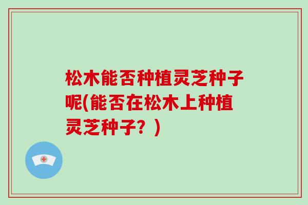 松木能否种植灵芝种子呢(能否在松木上种植灵芝种子?)-第1张图片-破壁灵芝孢子粉研究指南 松木能否种植灵芝种子呢(能否在松木上种植灵芝种子?)-第1张图片-破壁灵芝孢子粉研究指南