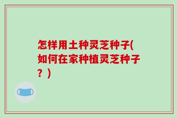 怎样用土种灵芝种子(如何在家种植灵芝种子？)-第1张图片-破壁灵芝孢子粉研究指南