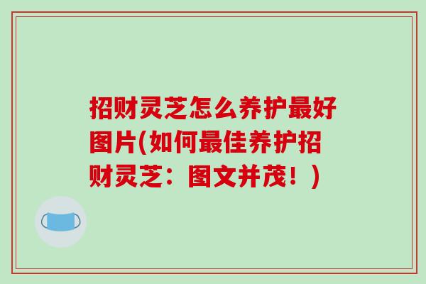 招财灵芝怎么养护最好图片(如何最佳养护招财灵芝:图文并茂!)-第1张图片-破壁灵芝孢子粉研究指南 招财灵芝怎么养护最好图片(如何最佳养护招财灵芝:图文并茂!)-第1张图片-破壁灵芝孢子粉研究指南