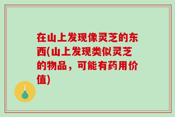 在山上发现像灵芝的东西(山上发现类似灵芝的物品,可能有药用价值)-第1张图片-破壁灵芝孢子粉研究指南 在山上发现像灵芝的东西(山上发现类似灵芝的物品,可能有药用价值)-第1张图片-破壁灵芝孢子粉研究指南