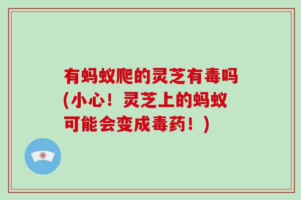 有蚂蚁爬的灵芝有毒吗(小心!灵芝上的蚂蚁可能会变成毒药!)-第1张图片-破壁灵芝孢子粉研究指南 有蚂蚁爬的灵芝有毒吗(小心!灵芝上的蚂蚁可能会变成毒药!)-第1张图片-破壁灵芝孢子粉研究指南