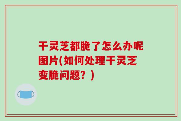 干灵芝都脆了怎么办呢图片(如何处理干灵芝变脆问题?)-第1张图片-破壁灵芝孢子粉研究指南 干灵芝都脆了怎么办呢图片(如何处理干灵芝变脆问题?)-第1张图片-破壁灵芝孢子粉研究指南
