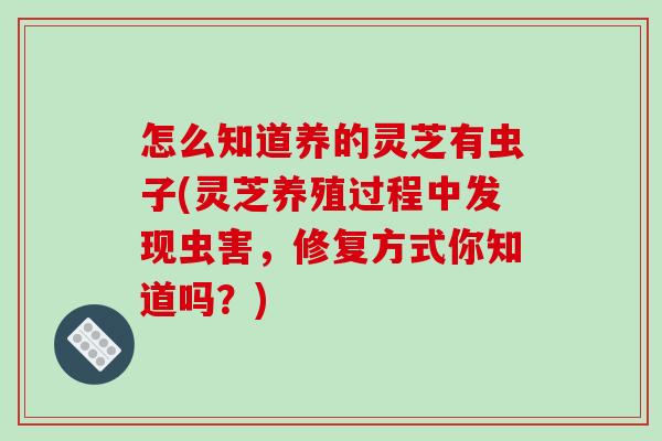 怎么知道养的灵芝有虫子(灵芝养殖过程中发现虫害,修复方式你知道吗?)-第1张图片-破壁灵芝孢子粉研究指南 怎么知道养的灵芝有虫子(灵芝养殖过程中发现虫害,修复方式你知道吗?)-第1张图片-破壁灵芝孢子粉研究指南