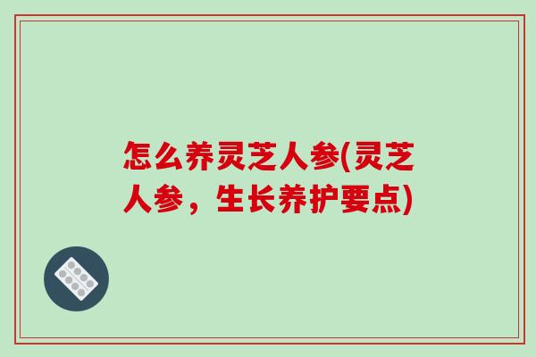 怎么养灵芝人参(灵芝人参,生长养护要点)-第1张图片-破壁灵芝孢子粉研究指南 怎么养灵芝人参(灵芝人参,生长养护要点)-第1张图片-破壁灵芝孢子粉研究指南