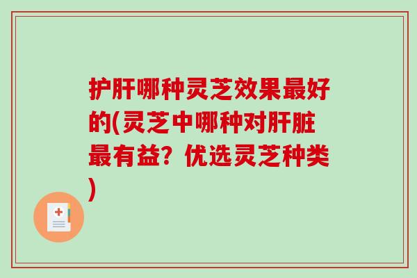 护肝哪种灵芝效果最好的(灵芝中哪种对肝脏最有益？优选灵芝种类)-第1张图片-破壁灵芝孢子粉研究指南