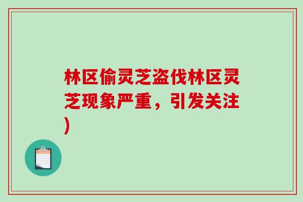 林区偷灵芝盗伐林区灵芝现象严重，引发关注)-第1张图片-破壁灵芝孢子粉研究指南