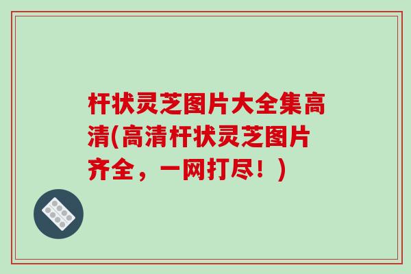 杆状灵芝图片大全集高清(高清杆状灵芝图片齐全,一网打尽!)-第1张图片-破壁灵芝孢子粉研究指南 杆状灵芝图片大全集高清(高清杆状灵芝图片齐全,一网打尽!)-第1张图片-破壁灵芝孢子粉研究指南