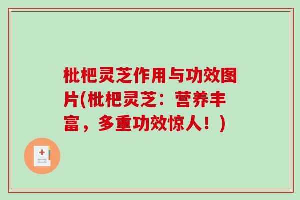 枇杷灵芝作用与功效图片(枇杷灵芝:营养丰富,多重功效惊人!)-第1张图片-破壁灵芝孢子粉研究指南 枇杷灵芝作用与功效图片(枇杷灵芝:营养丰富,多重功效惊人!)-第1张图片-破壁灵芝孢子粉研究指南