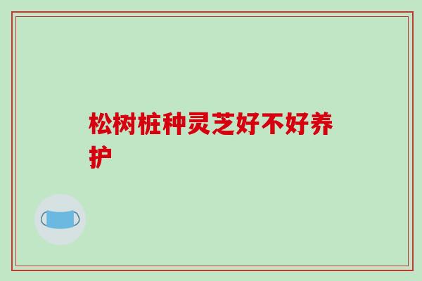 松树桩种灵芝好不好养护-第1张图片-破壁灵芝孢子粉研究指南 松树桩种灵芝好不好养护-第1张图片-破壁灵芝孢子粉研究指南