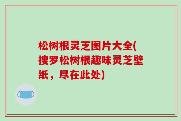松树根灵芝图片大全(搜罗松树根趣味灵芝壁纸,尽在此处)-第1张图片-破壁灵芝孢子粉研究指南 松树根灵芝图片大全(搜罗松树根趣味灵芝壁纸,尽在此处)-第1张图片-破壁灵芝孢子粉研究指南