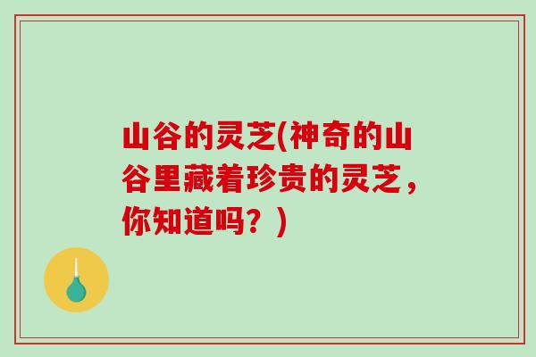 山谷的灵芝(神奇的山谷里藏着珍贵的灵芝,你知道吗?)-第1张图片-破壁灵芝孢子粉研究指南 山谷的灵芝(神奇的山谷里藏着珍贵的灵芝,你知道吗?)-第1张图片-破壁灵芝孢子粉研究指南