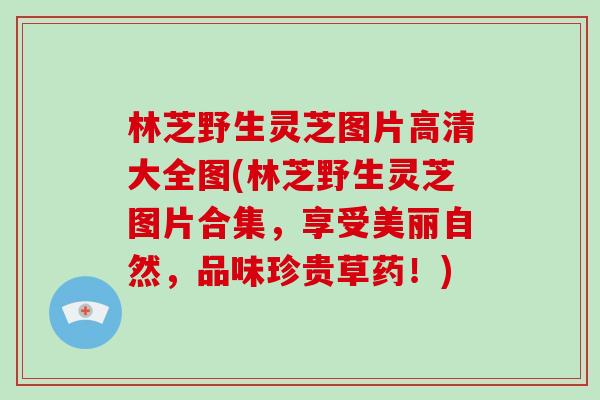 林芝野生灵芝图片高清大全图(林芝野生灵芝图片合集，享受美丽自然，品味珍贵草药！)-第1张图片-破壁灵芝孢子粉研究指南