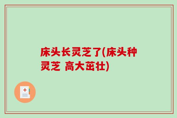 床头长灵芝了(床头种灵芝 高大茁壮)-第1张图片-破壁灵芝孢子粉研究指南