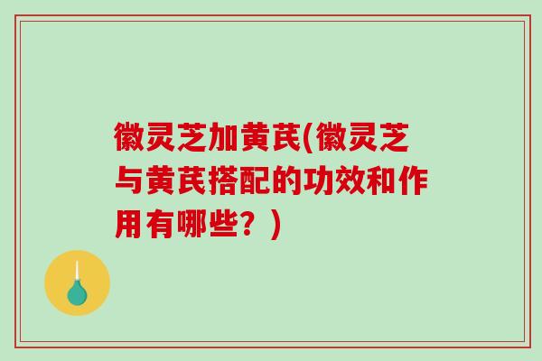 徽灵芝加黄芪(徽灵芝与黄芪搭配的功效和作用有哪些?)-第1张图片-破壁灵芝孢子粉研究指南 徽灵芝加黄芪(徽灵芝与黄芪搭配的功效和作用有哪些?)-第1张图片-破壁灵芝孢子粉研究指南