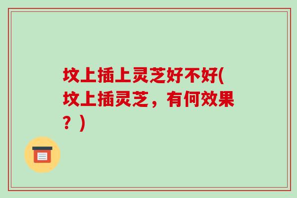 坟上插上灵芝好不好(坟上插灵芝,有何效果?)-第1张图片-破壁灵芝孢子粉研究指南 坟上插上灵芝好不好(坟上插灵芝,有何效果?)-第1张图片-破壁灵芝孢子粉研究指南
