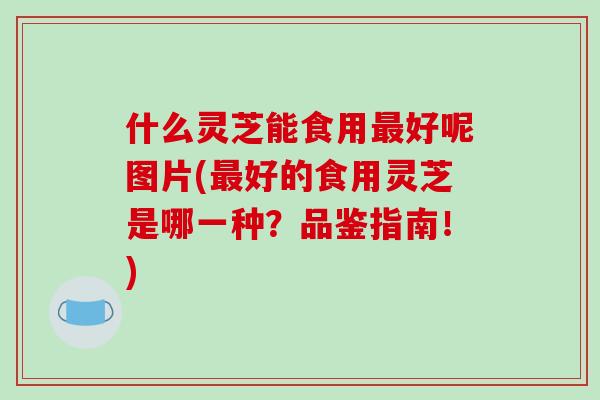 什么灵芝能食用最好呢图片(最好的食用灵芝是哪一种?品鉴指南!)-第1张图片-破壁灵芝孢子粉研究指南 什么灵芝能食用最好呢图片(最好的食用灵芝是哪一种?品鉴指南!)-第1张图片-破壁灵芝孢子粉研究指南