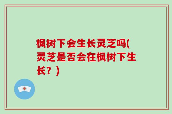 枫树下会生长灵芝吗(灵芝是否会在枫树下生长?)-第1张图片-破壁灵芝孢子粉研究指南 枫树下会生长灵芝吗(灵芝是否会在枫树下生长?)-第1张图片-破壁灵芝孢子粉研究指南
