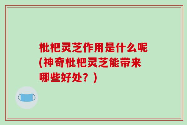 枇杷灵芝作用是什么呢(神奇枇杷灵芝能带来哪些好处?)-第1张图片-破壁灵芝孢子粉研究指南 枇杷灵芝作用是什么呢(神奇枇杷灵芝能带来哪些好处?)-第1张图片-破壁灵芝孢子粉研究指南