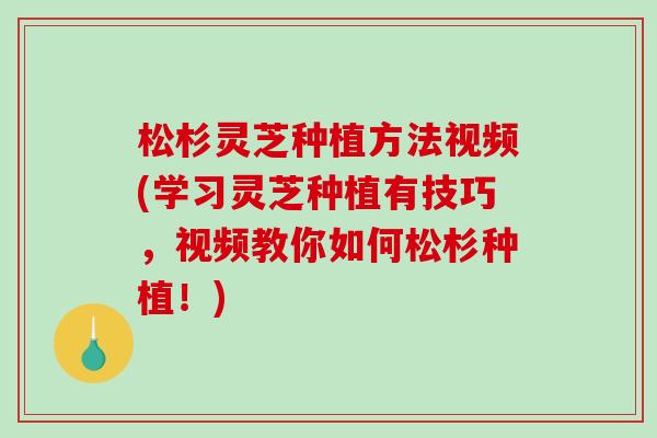 松杉灵芝种植方法视频(学习灵芝种植有技巧,视频教你如何松杉种植!)-第1张图片-破壁灵芝孢子粉研究指南 松杉灵芝种植方法视频(学习灵芝种植有技巧,视频教你如何松杉种植!)-第1张图片-破壁灵芝孢子粉研究指南