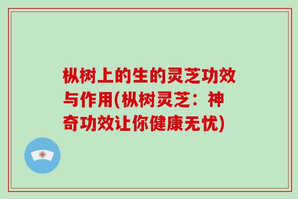 枞树上的生的灵芝功效与作用(枞树灵芝：神奇功效让你健康无忧)-第1张图片-破壁灵芝孢子粉研究指南