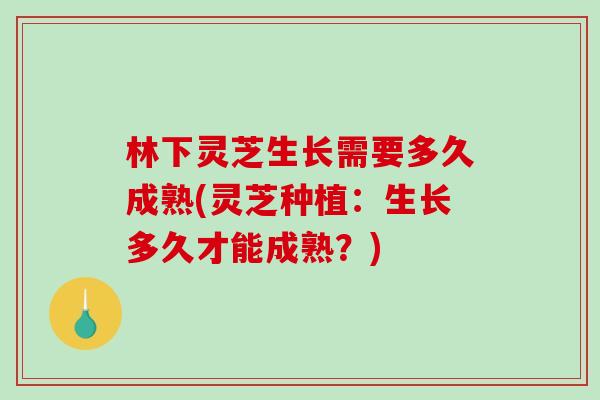 林下灵芝生长需要多久成熟(灵芝种植:生长多久才能成熟?)-第1张图片-破壁灵芝孢子粉研究指南 林下灵芝生长需要多久成熟(灵芝种植:生长多久才能成熟?)-第1张图片-破壁灵芝孢子粉研究指南