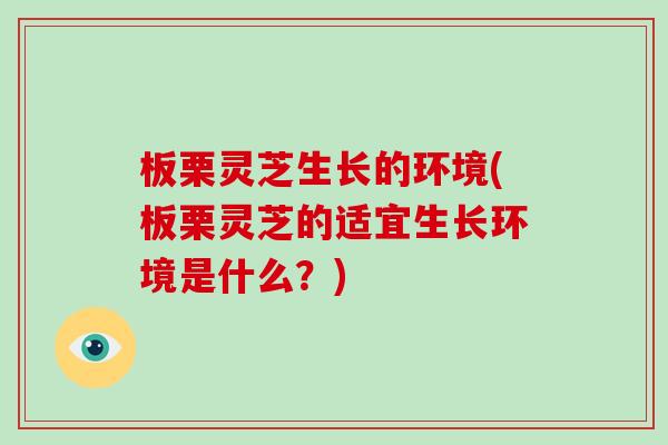 板栗灵芝生长的环境(板栗灵芝的适宜生长环境是什么?)-第1张图片-破壁灵芝孢子粉研究指南 板栗灵芝生长的环境(板栗灵芝的适宜生长环境是什么?)-第1张图片-破壁灵芝孢子粉研究指南