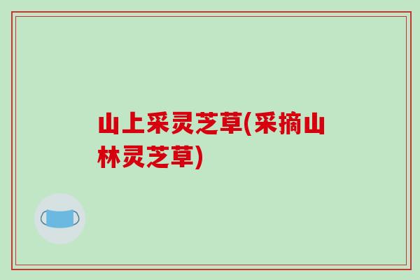 山上采灵芝草(采摘山林灵芝草)-第1张图片-破壁灵芝孢子粉研究指南 山上采灵芝草(采摘山林灵芝草)-第1张图片-破壁灵芝孢子粉研究指南