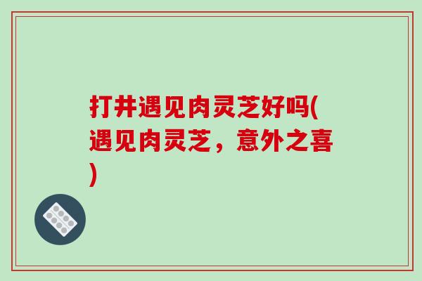 打井遇见肉灵芝好吗(遇见肉灵芝,意外之喜)-第1张图片-破壁灵芝孢子粉研究指南 打井遇见肉灵芝好吗(遇见肉灵芝,意外之喜)-第1张图片-破壁灵芝孢子粉研究指南