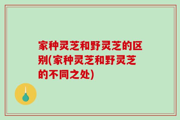 家种灵芝和野灵芝的区别(家种灵芝和野灵芝的不同之处)-第1张图片-破壁灵芝孢子粉研究指南 家种灵芝和野灵芝的区别(家种灵芝和野灵芝的不同之处)-第1张图片-破壁灵芝孢子粉研究指南