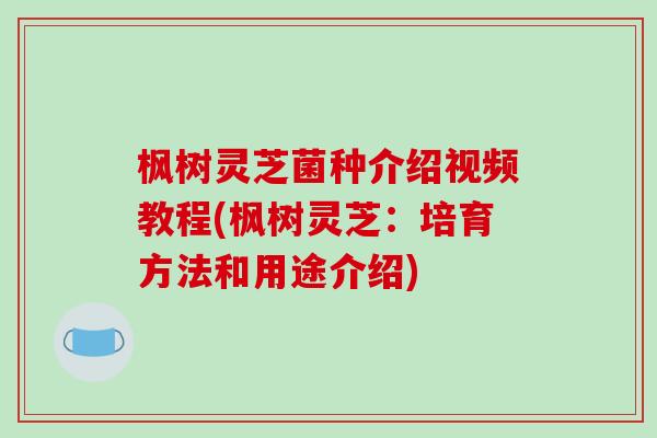 枫树灵芝菌种介绍视频教程(枫树灵芝：培育方法和用途介绍)-第1张图片-破壁灵芝孢子粉研究指南