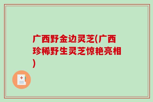 广西野金边灵芝(广西珍稀野生灵芝惊艳亮相)-第1张图片-破壁灵芝孢子粉研究指南 广西野金边灵芝(广西珍稀野生灵芝惊艳亮相)-第1张图片-破壁灵芝孢子粉研究指南