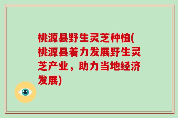 桃源县野生灵芝种植(桃源县着力发展野生灵芝产业，助力当地经济发展)-第1张图片-破壁灵芝孢子粉研究指南