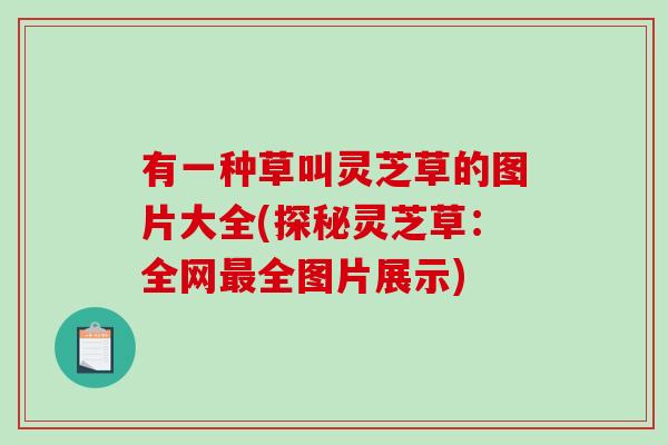 有一种草叫灵芝草的图片大全(探秘灵芝草：全网最全图片展示)-第1张图片-破壁灵芝孢子粉研究指南