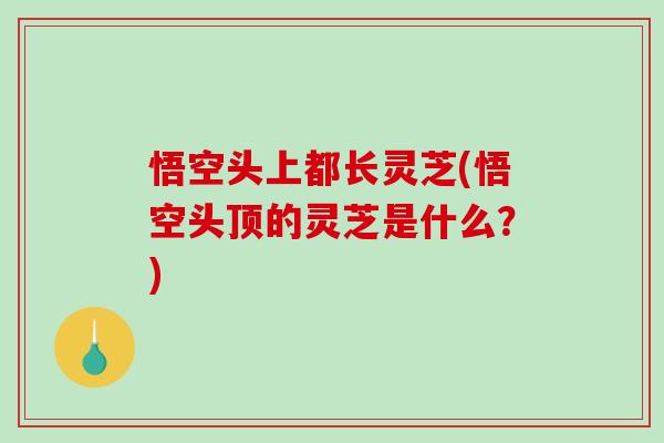 悟空头上都长灵芝(悟空头顶的灵芝是什么？)-第1张图片-破壁灵芝孢子粉研究指南