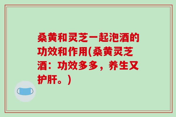 桑黄和灵芝一起泡酒的功效和作用(桑黄灵芝酒：功效多多，养生又护肝。)-第1张图片-破壁灵芝孢子粉研究指南